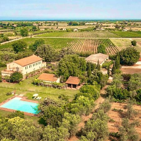 Bb Villa Bolgheri Mare Donoratico Dış mekan fotoğraf