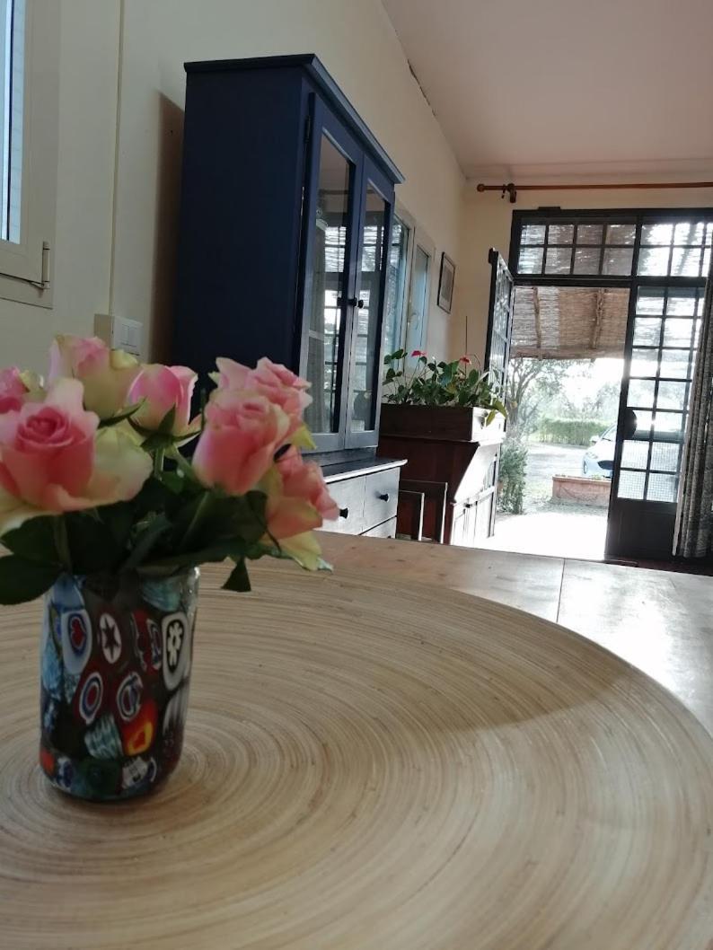 Bb Villa Bolgheri Mare Donoratico Dış mekan fotoğraf