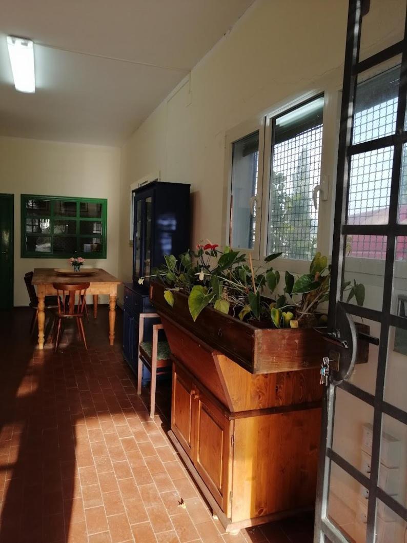 Bb Villa Bolgheri Mare Donoratico Dış mekan fotoğraf