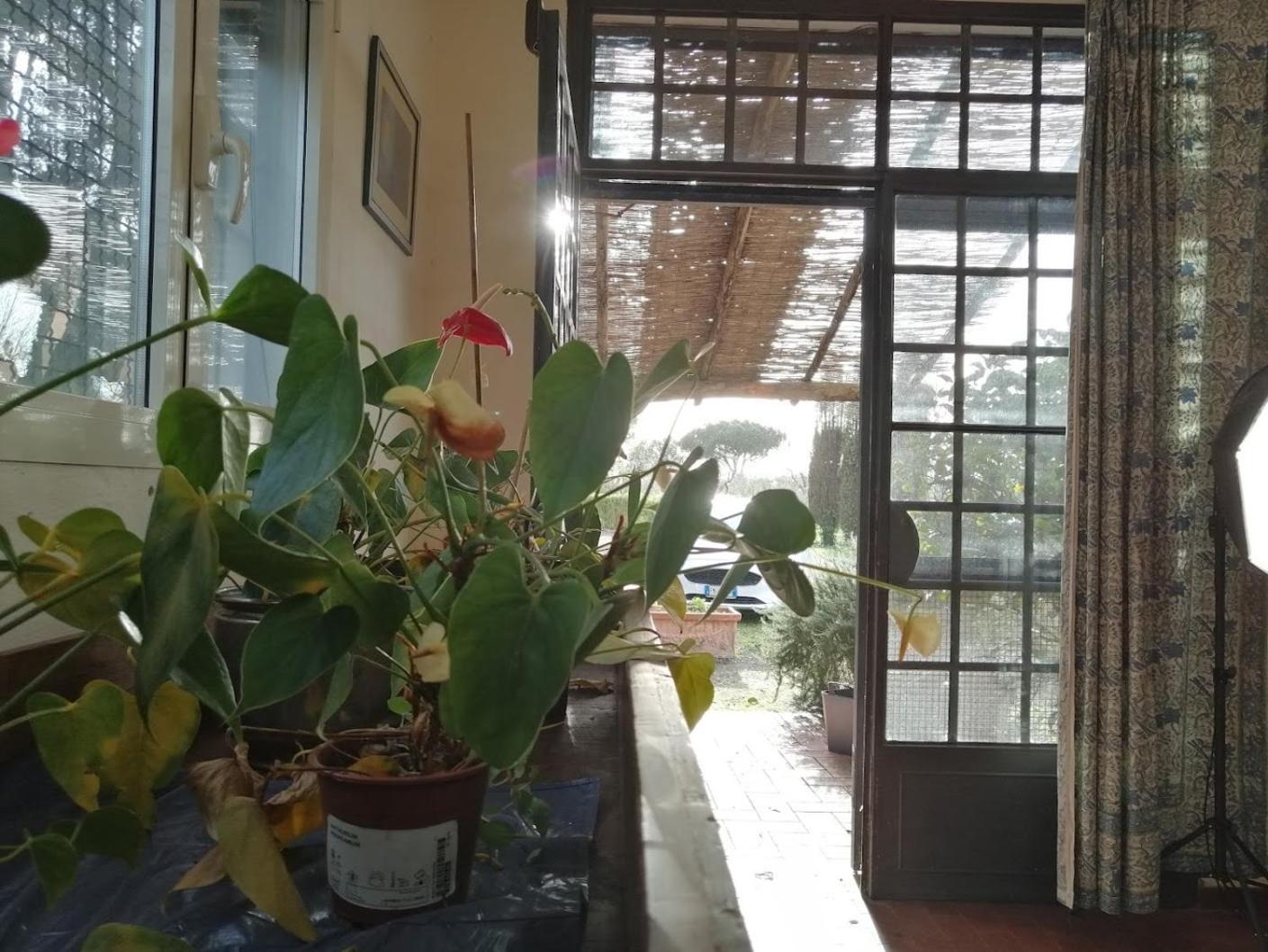 Bb Villa Bolgheri Mare Donoratico Dış mekan fotoğraf
