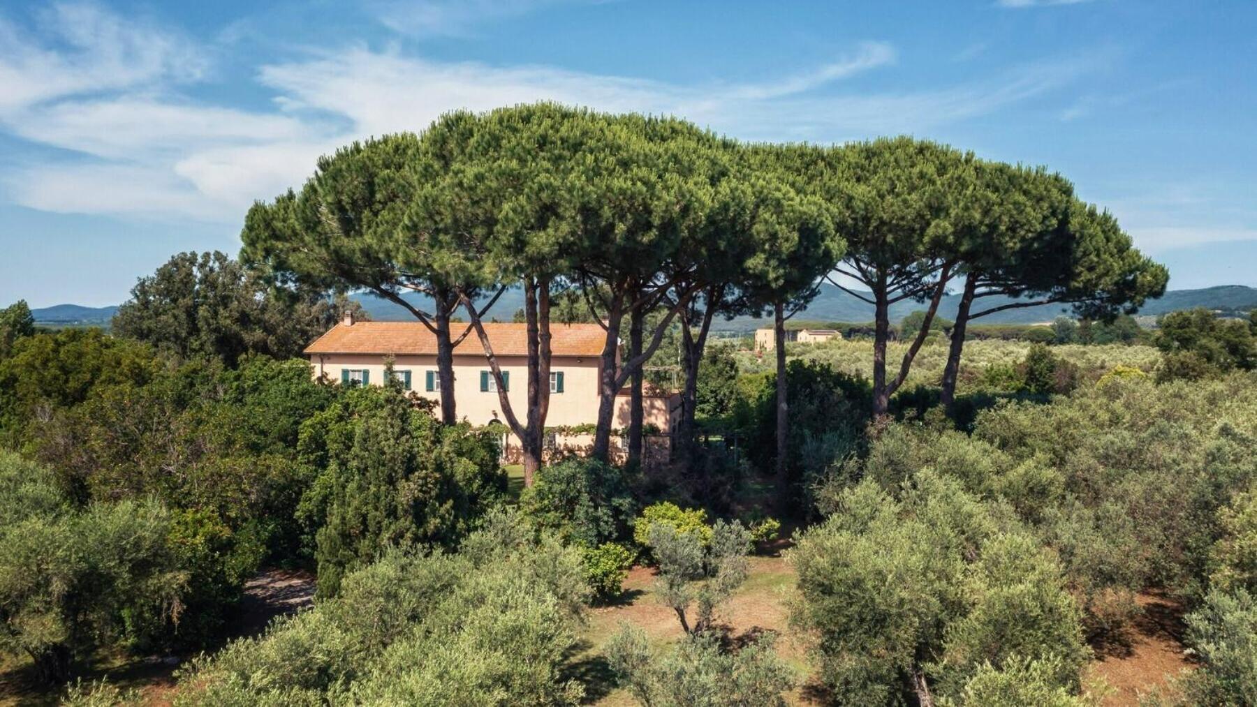 Bb Villa Bolgheri Mare Donoratico Dış mekan fotoğraf